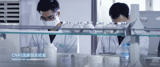 J9集团-国际站最新官网